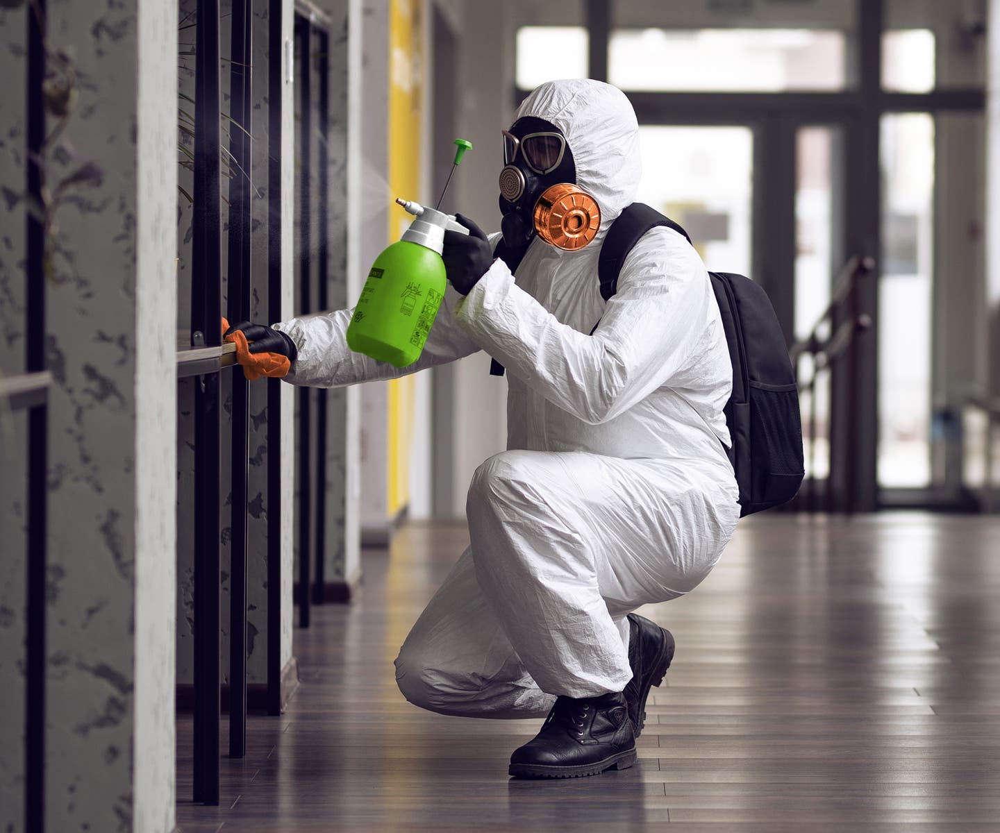 Local water damage restoration team serving St. Petersburg FL USA